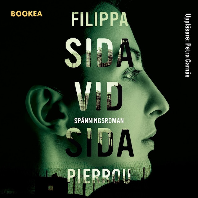 Book cover for Sida vid sida