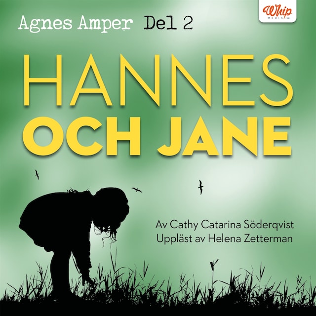 Kirjankansi teokselle Agnes Amper : Hannes & Jane
