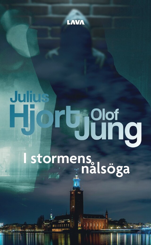 Book cover for I stormens nålsöga