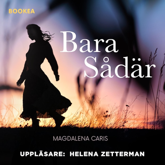 Copertina del libro per Bara sådär