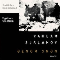Genom snön