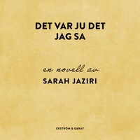 Det var ju det jag sa