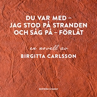 Du var med - Jag stod på stranden och såg på - Förlåt