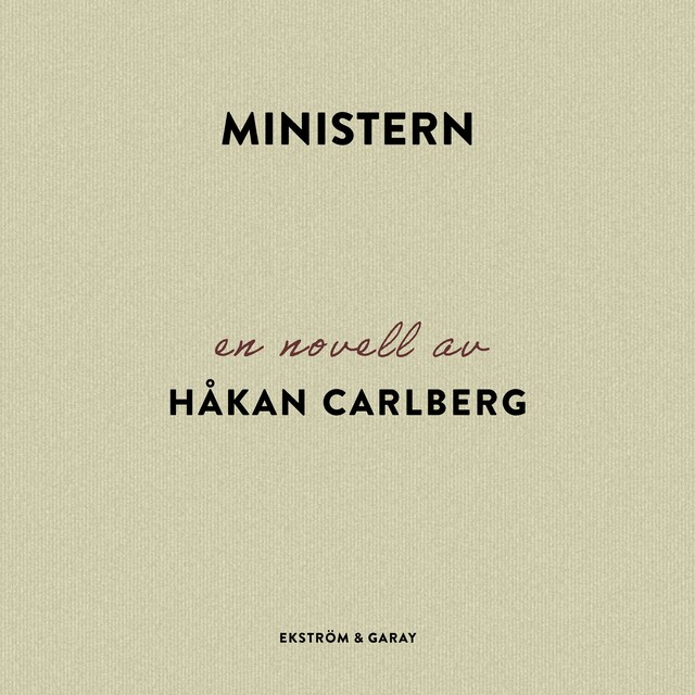 Couverture de livre pour Ministern