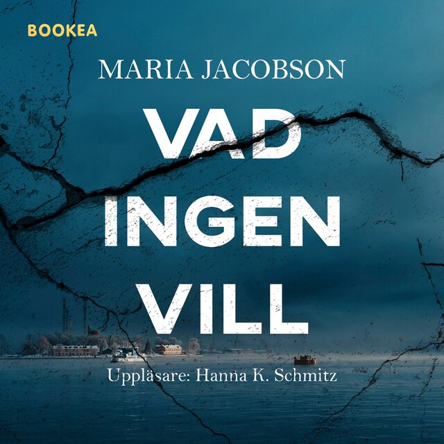 Buchcover für Vad ingen vill