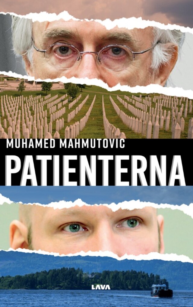 Book cover for Patienterna