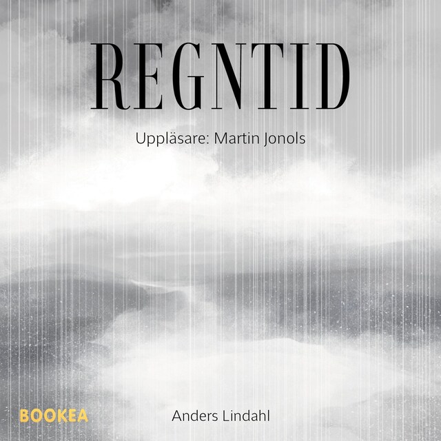 Book cover for Regntid