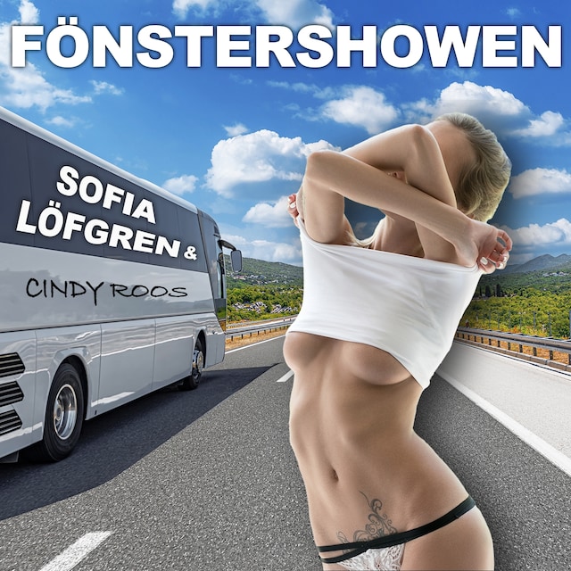 Buchcover für Fönstershowen