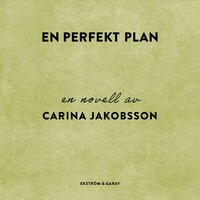 En perfekt plan