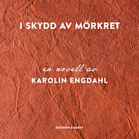 I skydd av mörkret