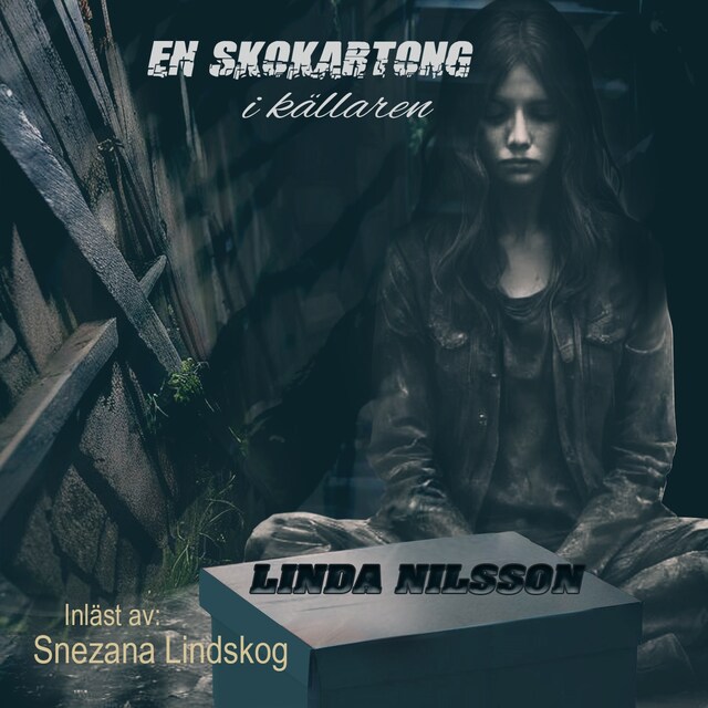 Book cover for En skokartong i källaren