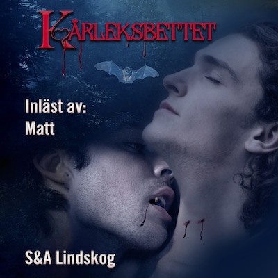 Kärleksbettet - Erotisk romantasy, HBTQ