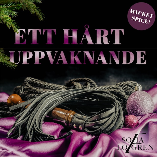 Book cover for Ett hårt uppvaknande