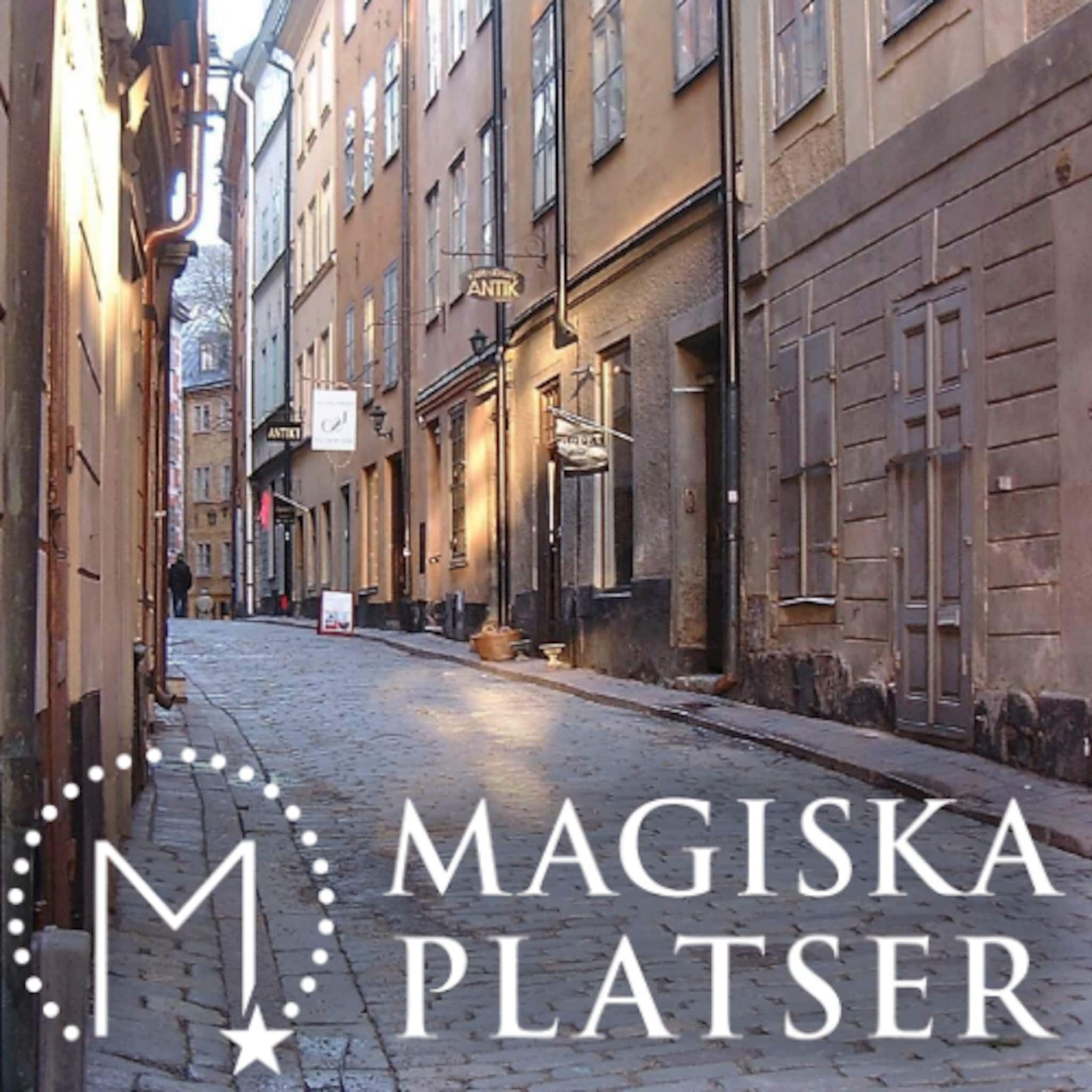 Tjocka Sara och bordellskandalen. Kindstugatan 1416.