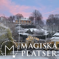 Sveriges mest besökta utomhusmuseum. Djurgårdsslätten 4951.