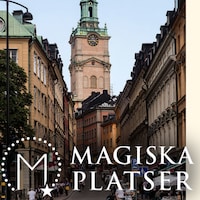 Revolution i Sverige, nästan. Storkyrkobrinken.