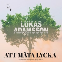 Att mäta lycka: Inre utveckling i en ytlig värld