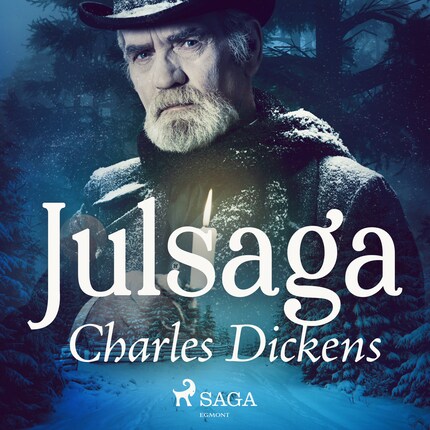 En julsaga bookCoverFor