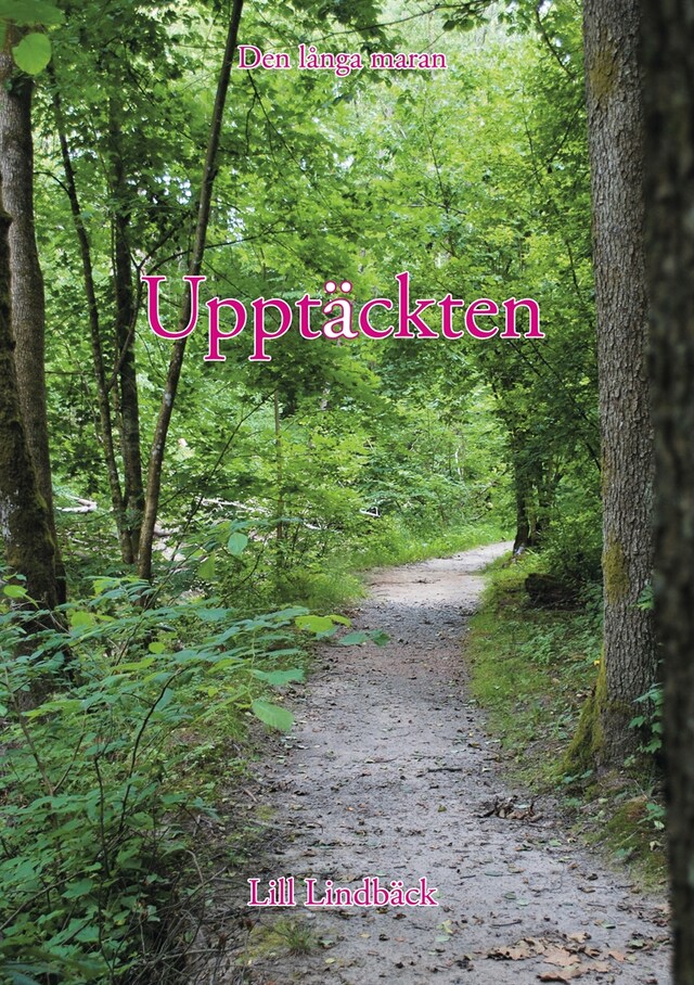 Bogomslag for Upptäckten