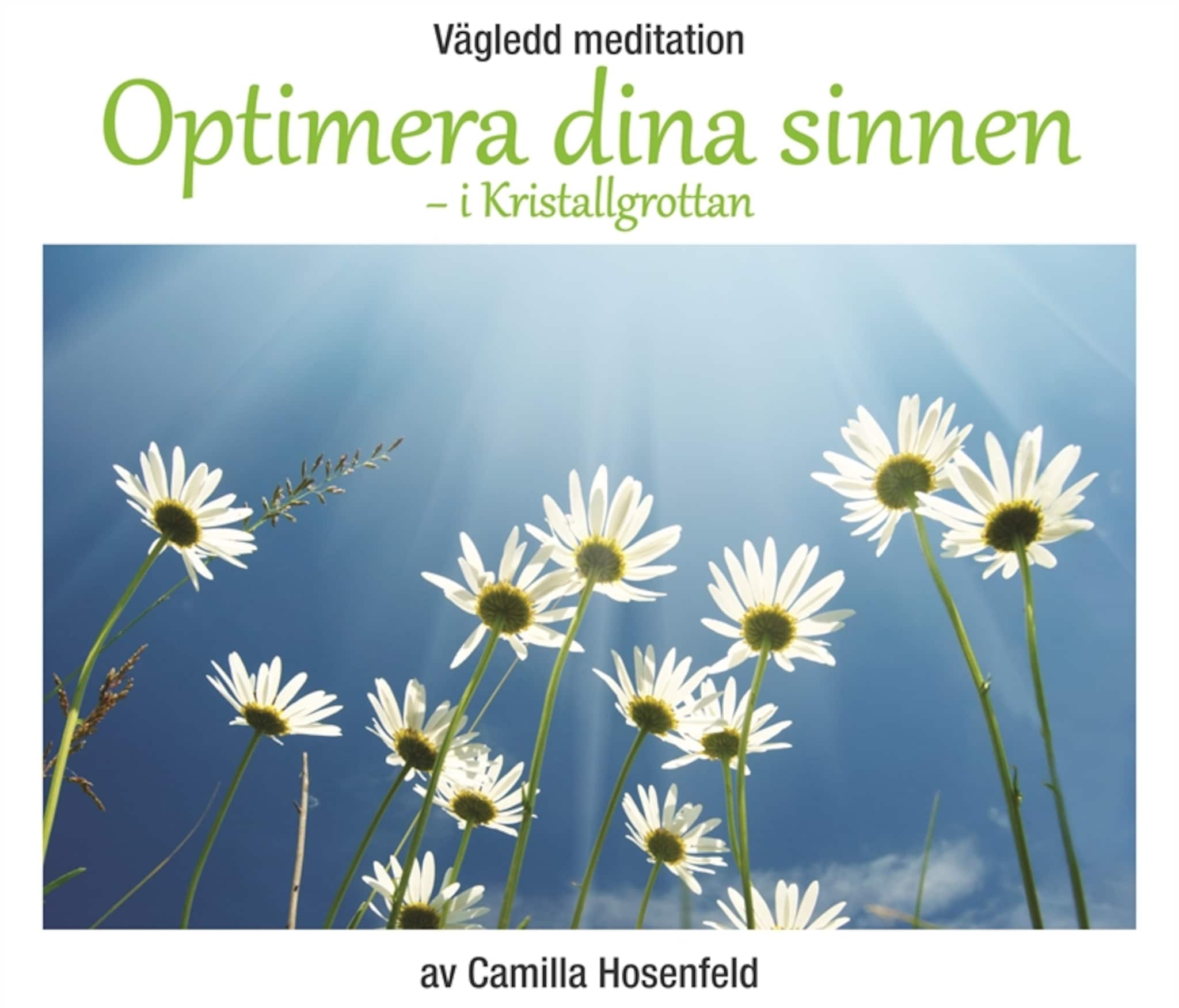 Vägledd meditation: Optimera dina sinnen