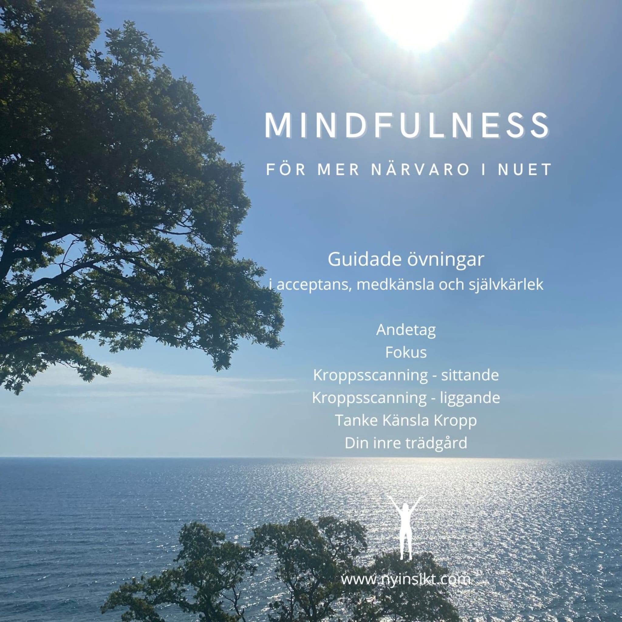 Mindfulness : för mer närvaro i nuet