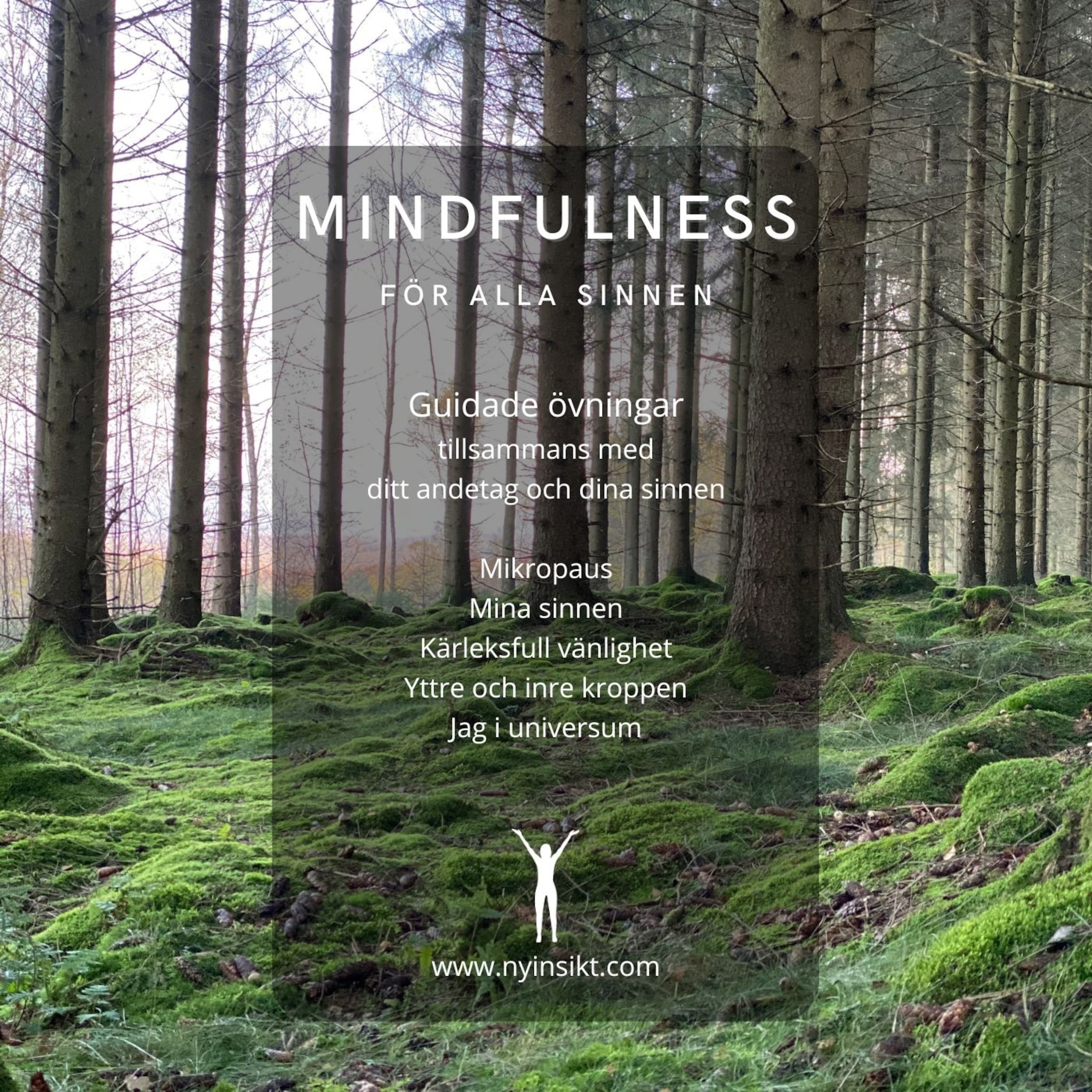 Mindfulness : för alla sinnen