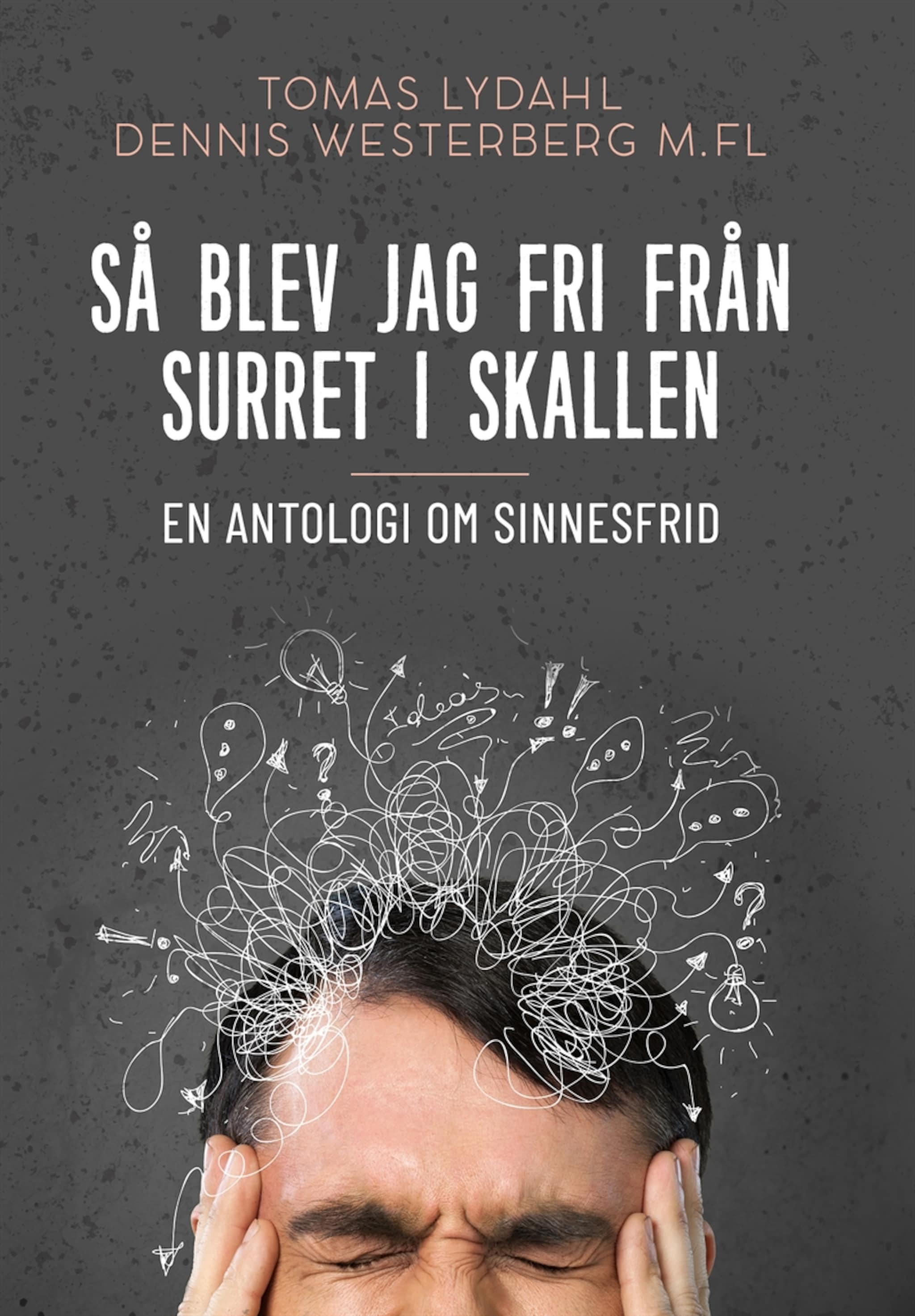 Så blev jag fri från surret i skallen : En antologi om sinnesfrid