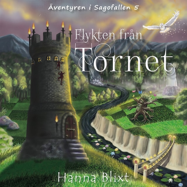 Book cover for Flykten från tornet