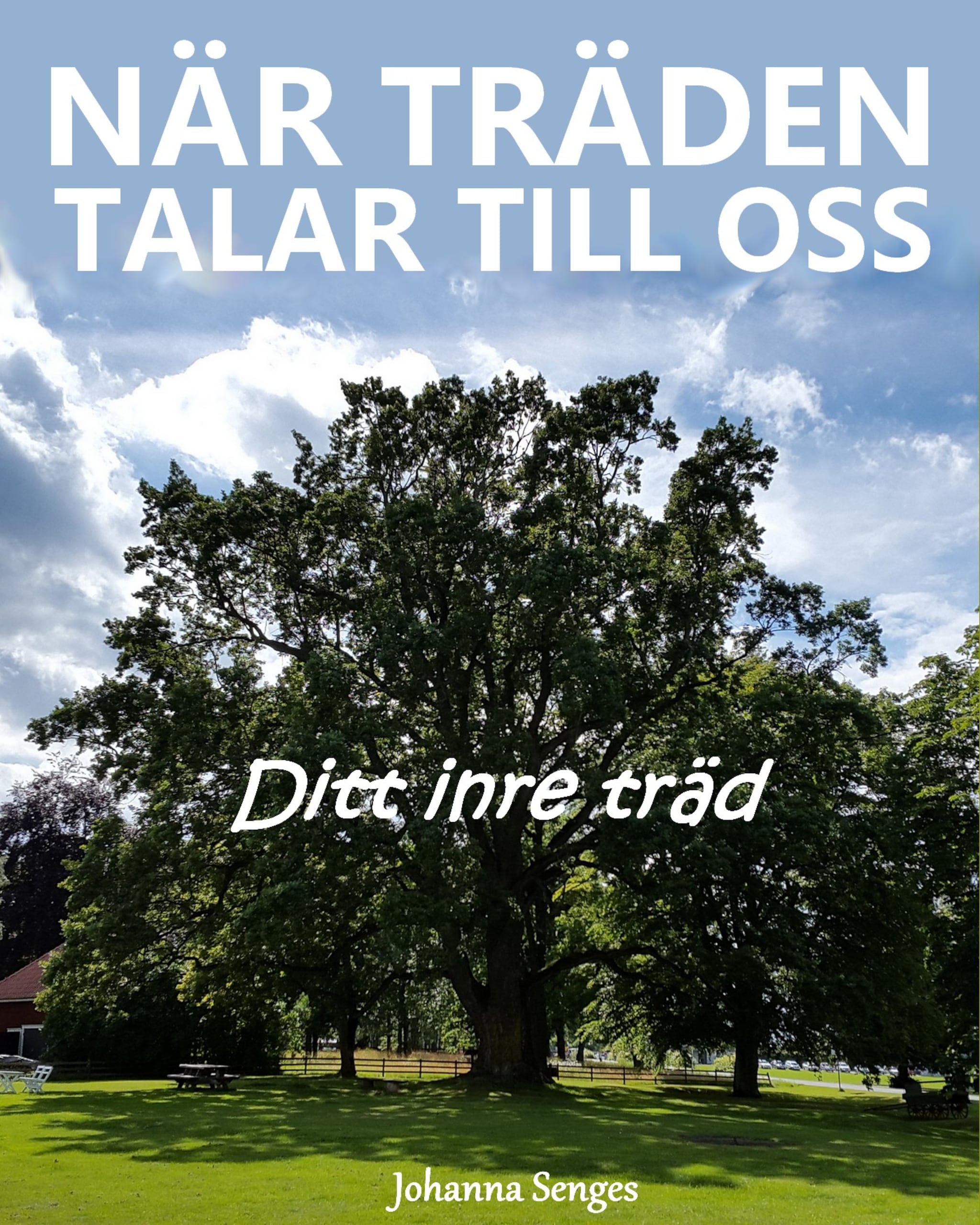 När träden talar till oss- Ditt inre träd