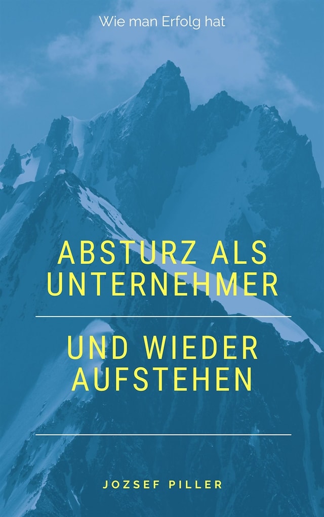 Book cover for Absturz als Unternehmer und wieder aufstehen