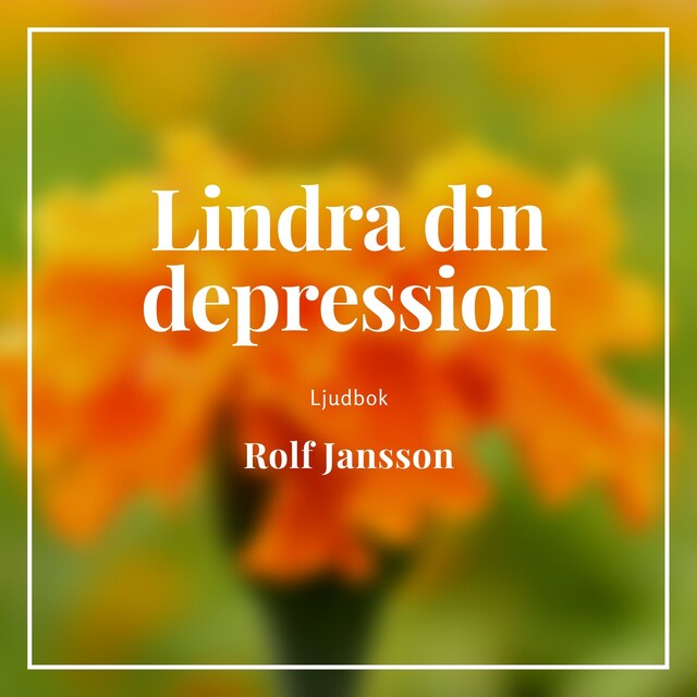 Boekomslag van Lindra din depression