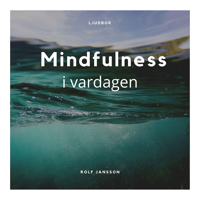 Book cover for Mindfulness i vardagen