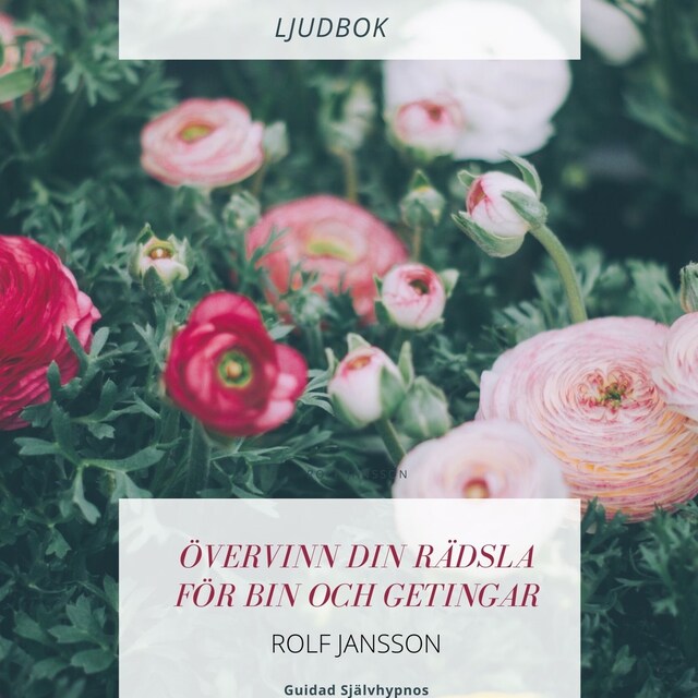 Portada de libro para Övervinn din rädsla för bin och getingar