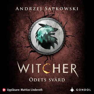 Ödets svärd : berättelser om Geralt av Rivia bookCoverFor