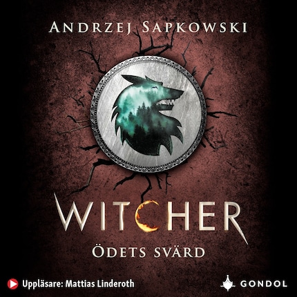 Ödets svärd : berättelser om Geralt av Rivia bookCoverFor