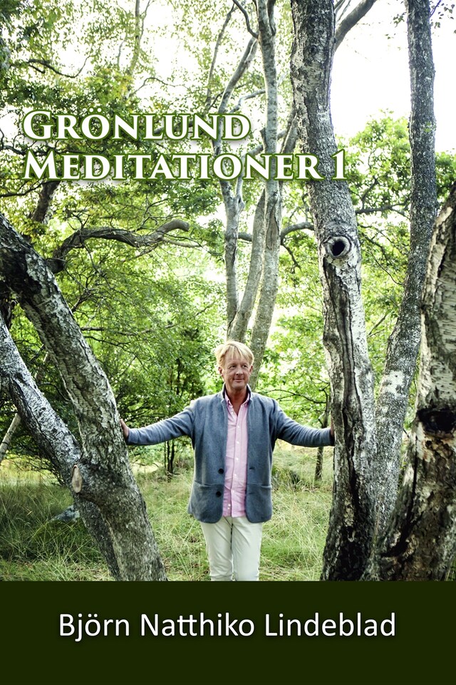 Book cover for Grönlund Mediationer 1