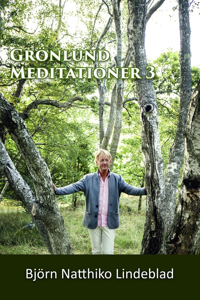 Book cover for Grönlund Mediationer 3