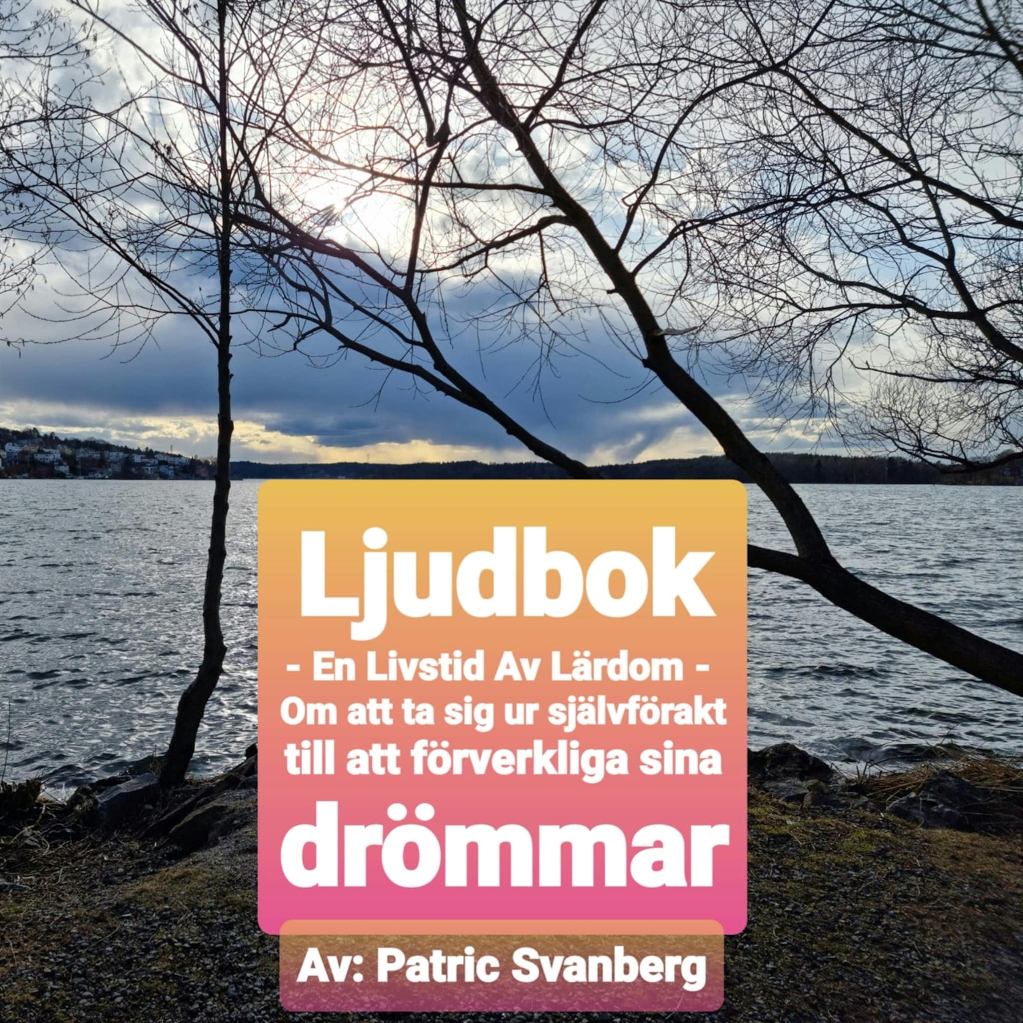 En Livstid Av Lärdom