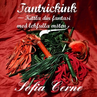 Tantrickink - Kittla din fantasi med lekfulla möten bookCoverFor
