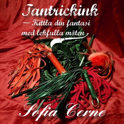 Tantrickink - Kittla din fantasi med lekfulla möten bookCoverFor