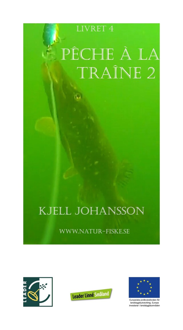 Book cover for Pêche à la traîne 2