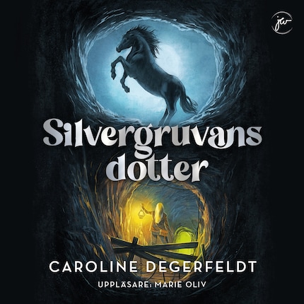 Silvergruvans dotter bookCoverFor