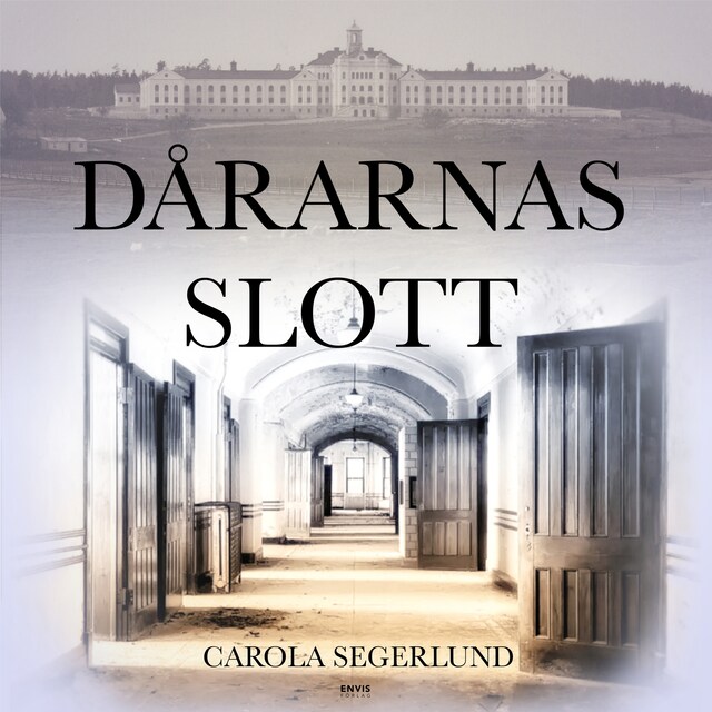 Book cover for Dårarnas slott