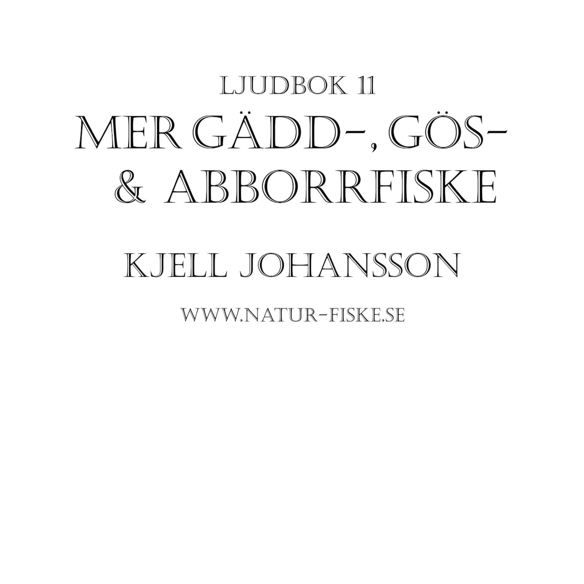 Mer Gädd, Gös och Abborrfiske