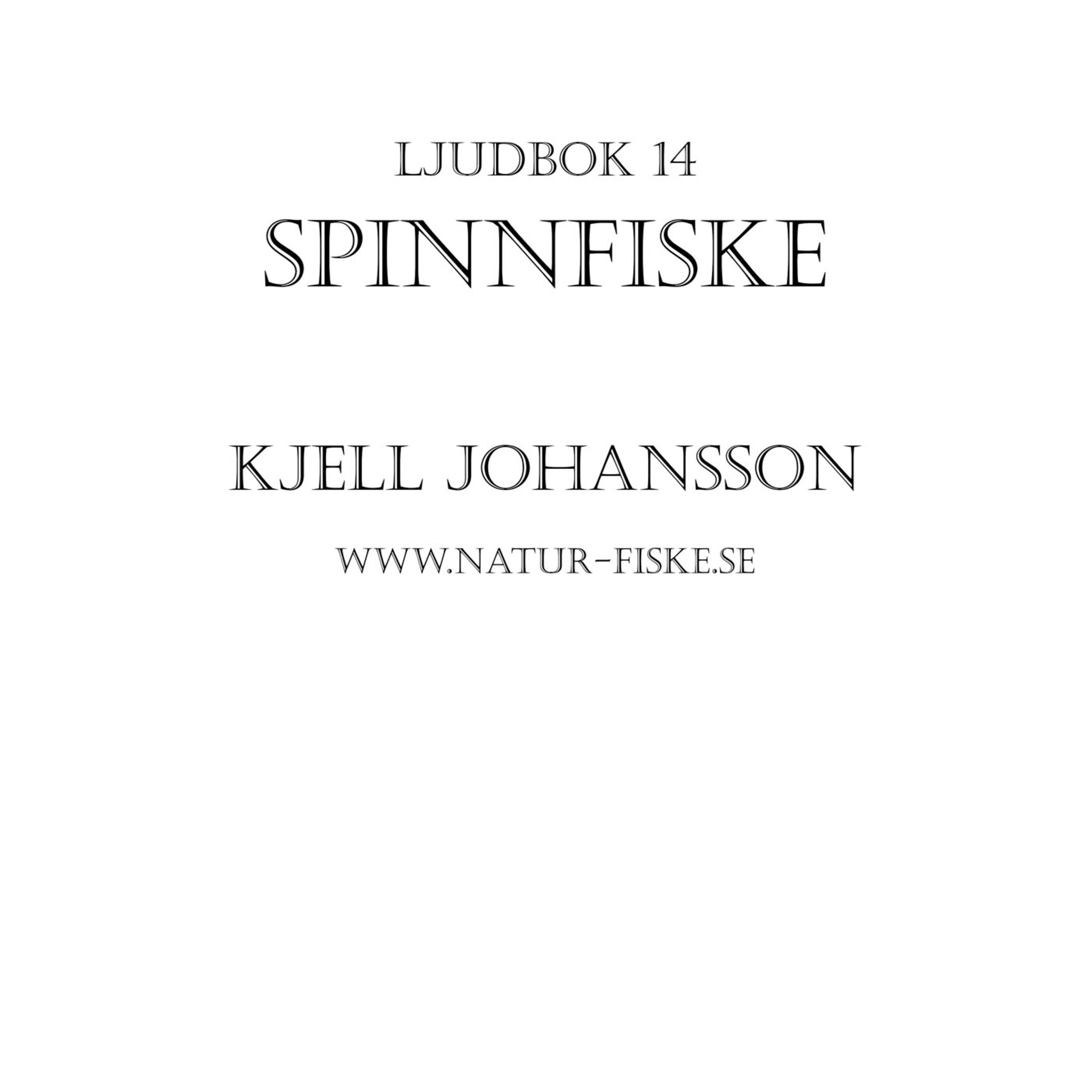 Spinnfiske