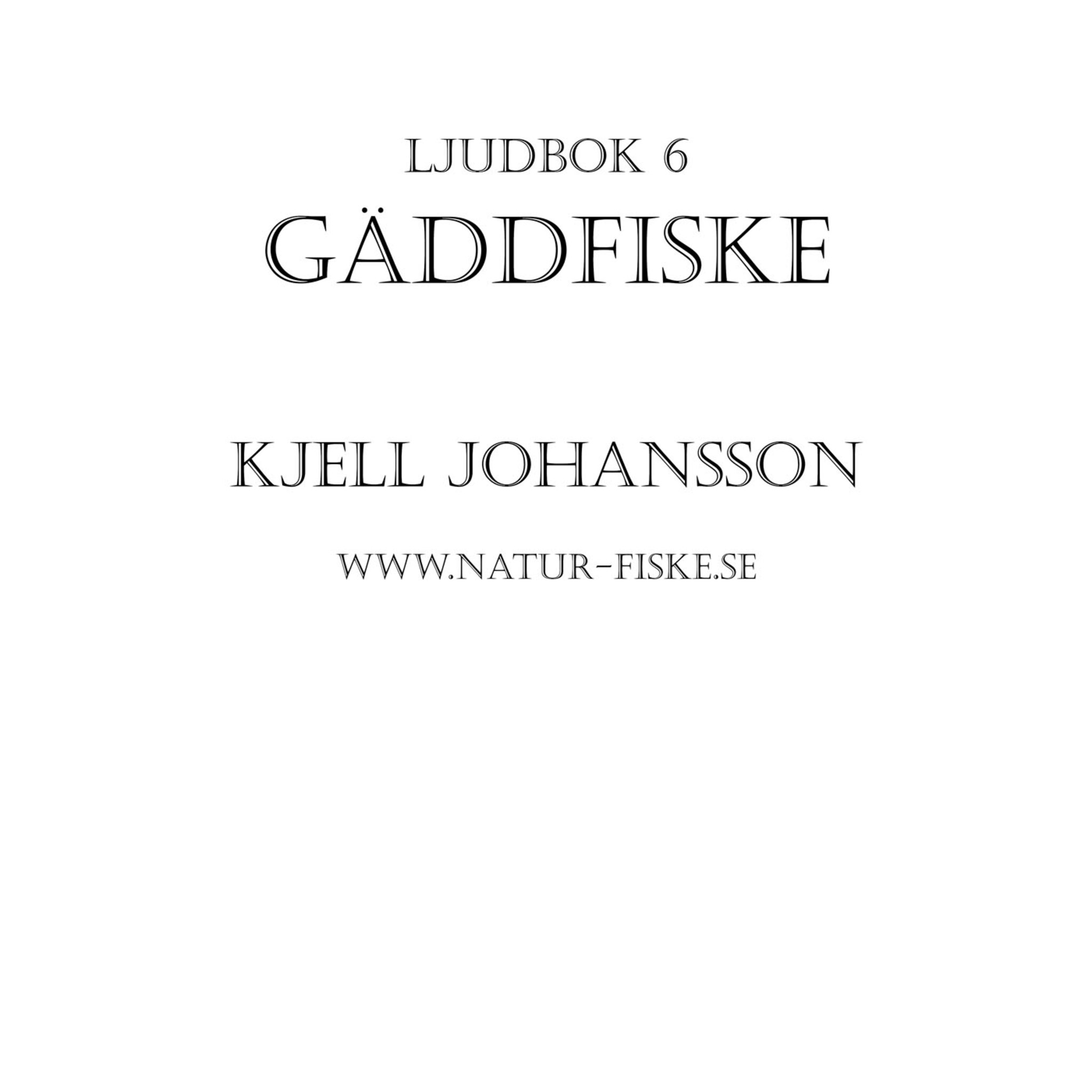 Gäddfiske