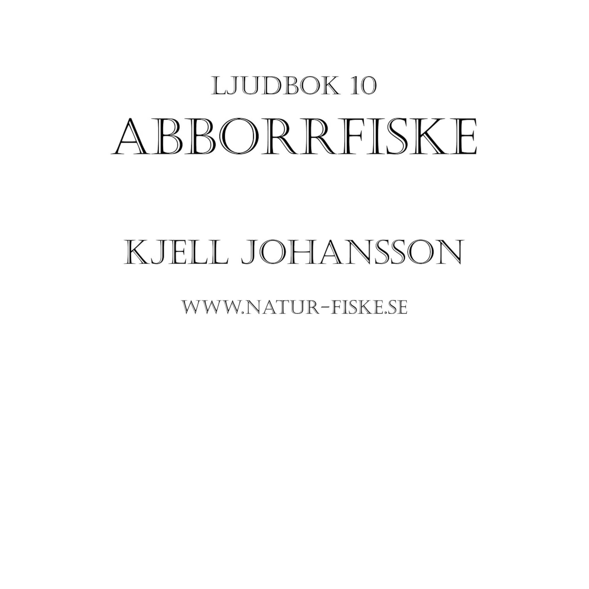 Abborrfiske
