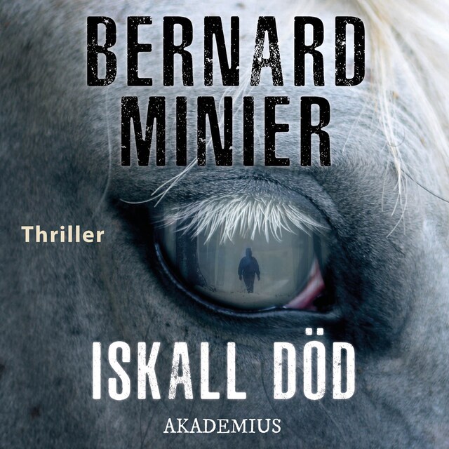 Book cover for Iskall död