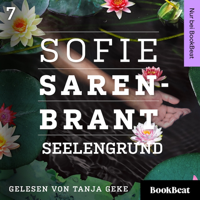 Book cover for Seelengrund