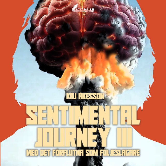 Couverture de livre pour Sentimental Journey III